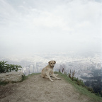 untitled_02