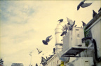 singaporecolor-201204R3-12-12