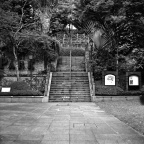 mamiyaSG-201204R1-1