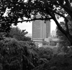 mamiyaSG-201204R1-2