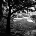 mamiyaSG-201204R1-7