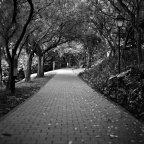 mamiyaSG-201204R1-9