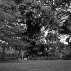 mamiyaSG-201204R1-10