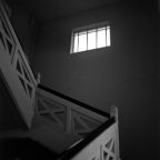mamiyaSG-201204R1-11