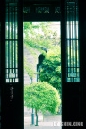_CSC0373