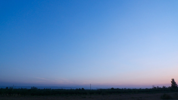 P1000939