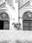 P1000909
