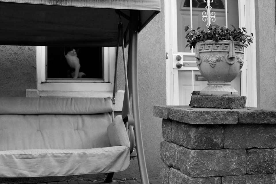 IMAGE: http://photos.tuchong.com/240679/f/3461542.jpg