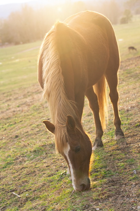 IMAGE: http://photos.tuchong.com/240679/f/4306280.jpg