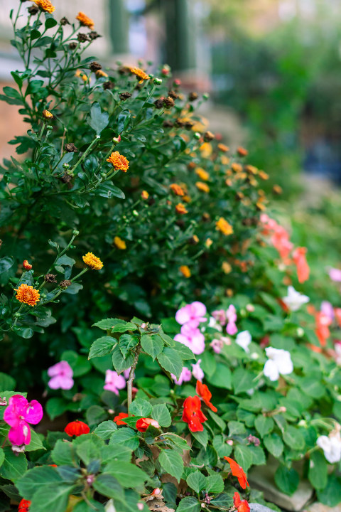 IMAGE: http://photos.tuchong.com/240679/l/3461548.jpg