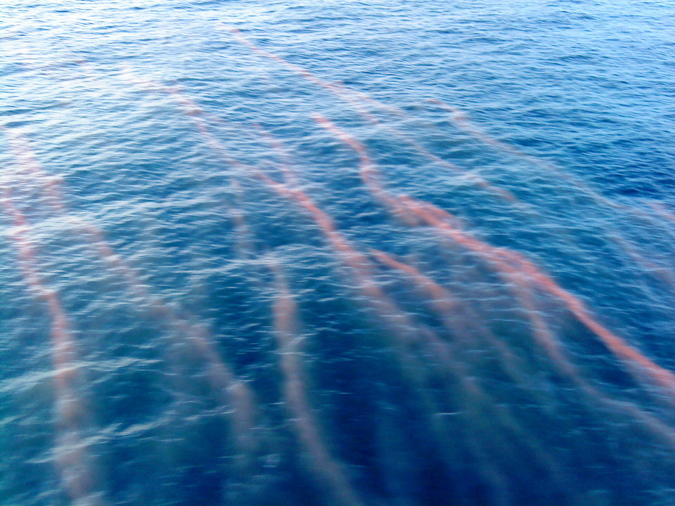  赤潮  - 歌诗达浪漫号 - 歌诗达浪漫号之旅 - shirl