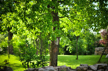 DSC_0821-1