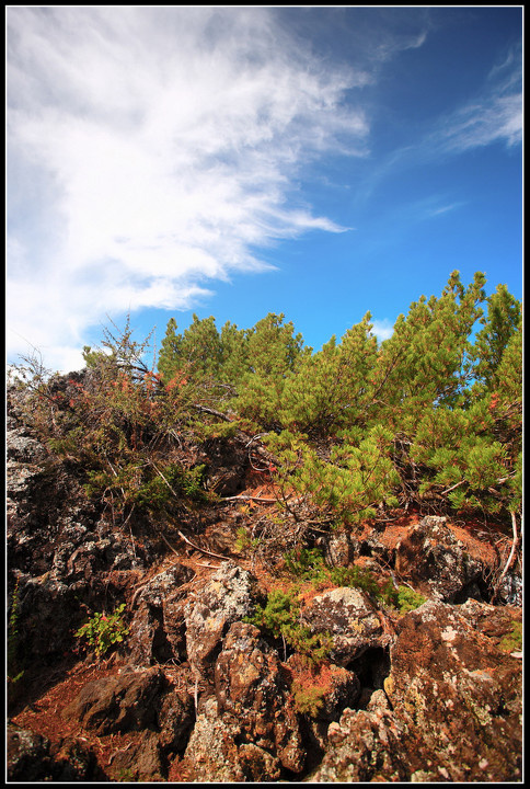 20110901_1250