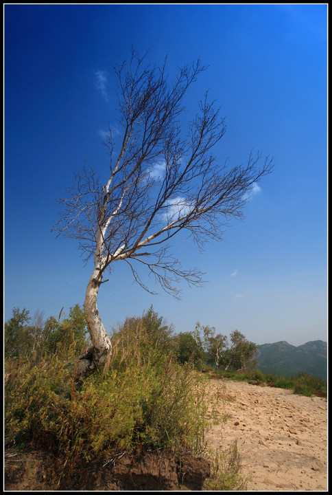 20110829_0887