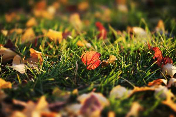 20101102_IMG_000197_small