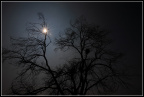 20110828_0674