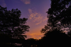 SDIM2092