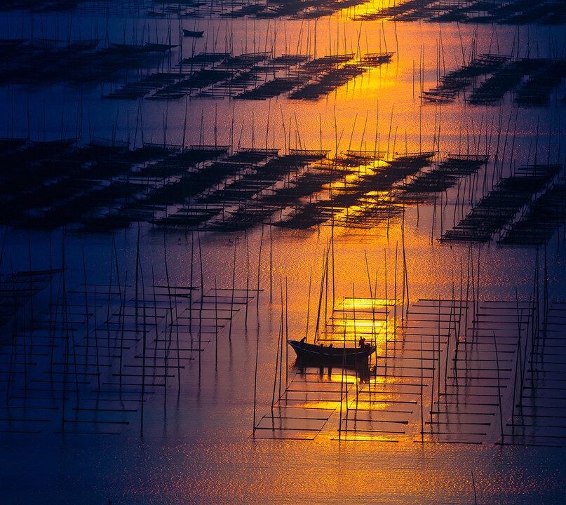 浙江苍南有多少人口_浙江苍南图片