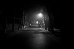 夜路