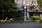 光影成诗