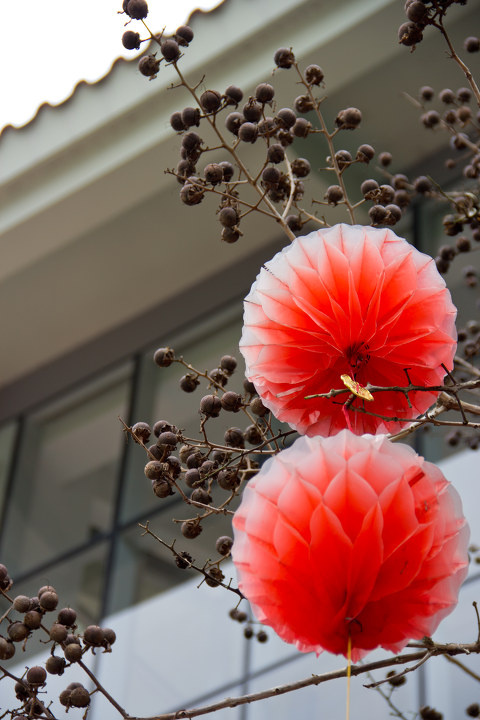 grazy-5 - 图虫摄影网