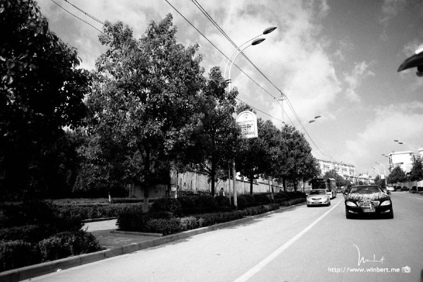 _MG_3463x