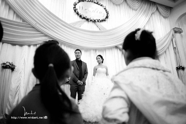 _MG_3737x