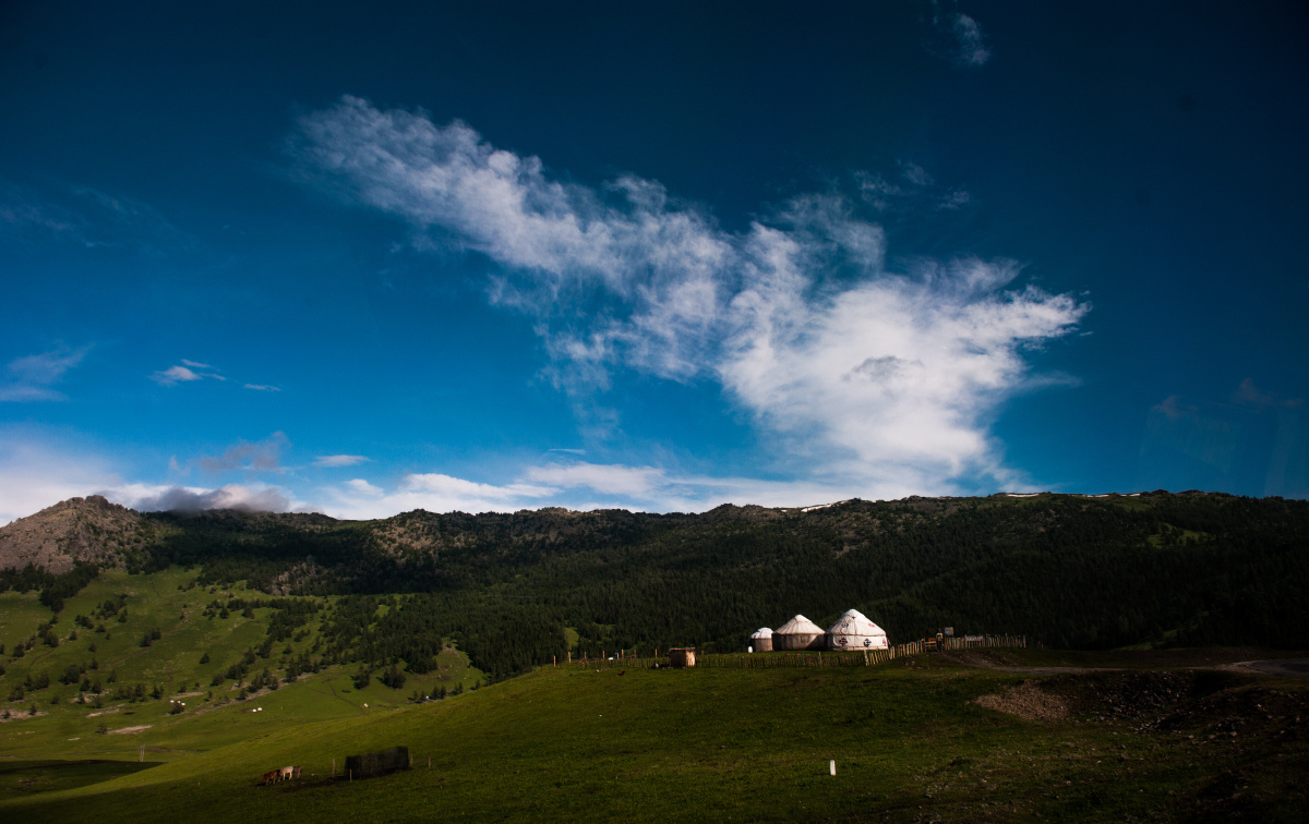 DSC_1795.jpg - 溜溜的山 - 图虫摄影网