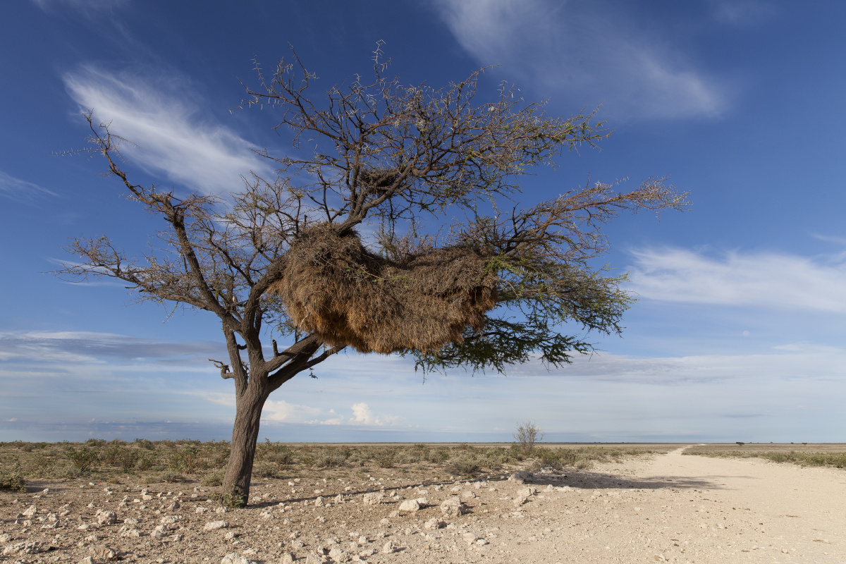 情人节滚床单的卡片
