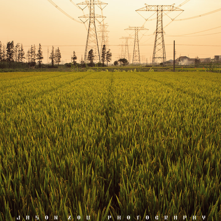 谁知道 日不落 英文版歌词?_MP3MP4_奇飞知