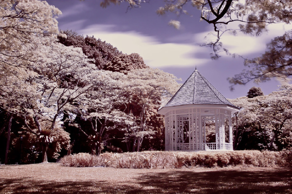 botanic garden - Singapore,, Botanic, park, Lan