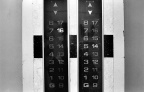 HK-8