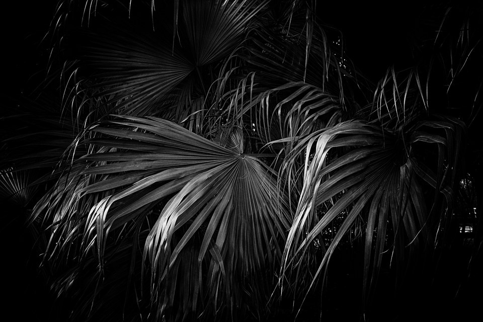 sdim4545 - 春天的故事 - imahao - 图虫摄影