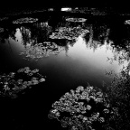 SDIM4410