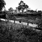 SDIM4409