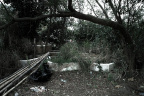 SDIM4647