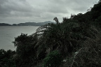 SDIM4651