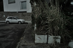 SDIM4652