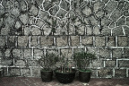 SDIM4683