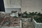 SDIM4685