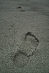 SDIM4674