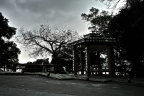SDIM4694