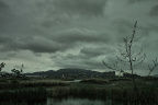 SDIM4705