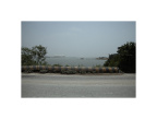 _MG_1343