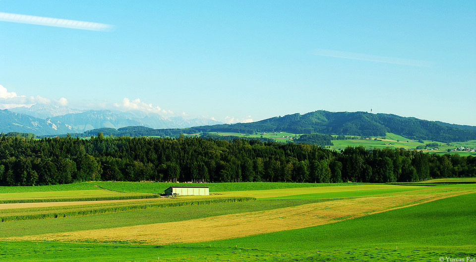 On the train to Lausanne - SWITZERLAND, Lan