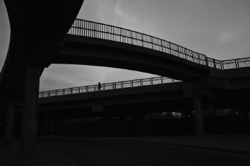 IMG_2706w