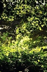 76f800015af72d0d