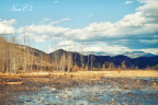 20100306-IMG_2536s