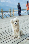 20100306-IMG_2207s