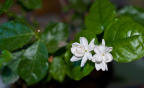 20100730-DSC_0007